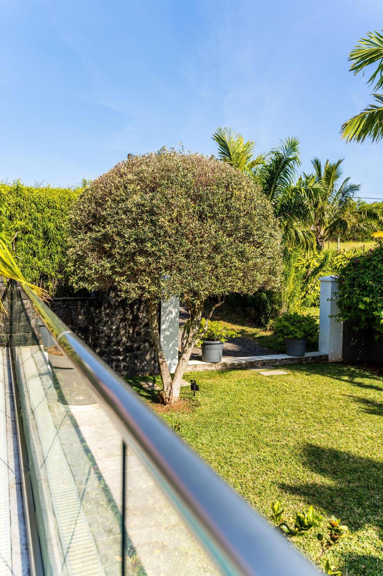 סיינט ג'וזף Villa Avec Piscine Vue Mer Et Montagne, En Pleine Nature מראה חיצוני תמונה